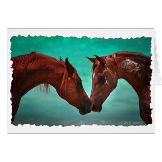 Horse Love Cards