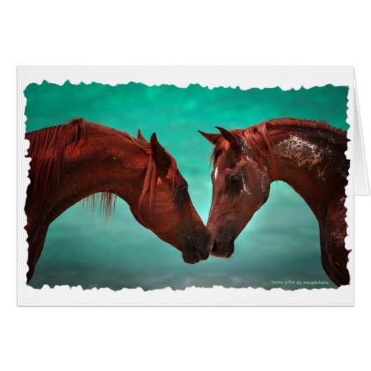 Horse Love Cards (Front Horizontal)