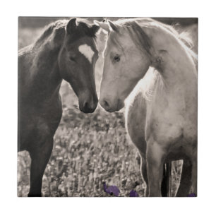 Horse Love Ceramic Tile