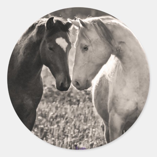 Horse Love Classic Round Sticker (Front)
