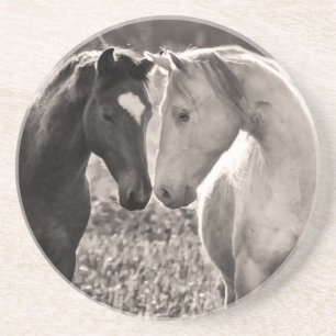 Horse Love Drink Coaster
