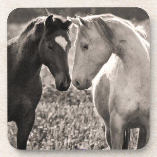 Horse Love Drink Coaster