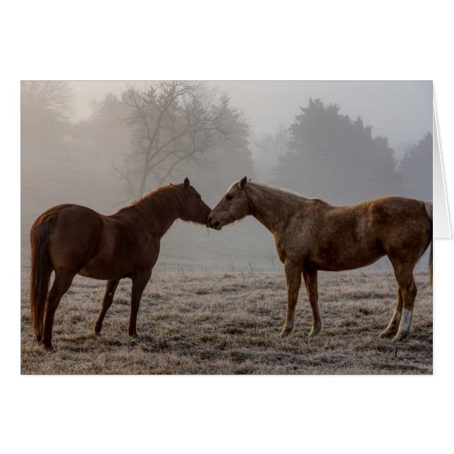 Horse Love Greeting Card (Front Horizontal)