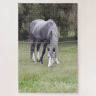Horse Love Jigsaw Puzzle