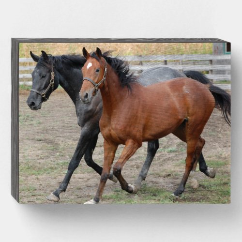 Horse Love Wooden Box Sign