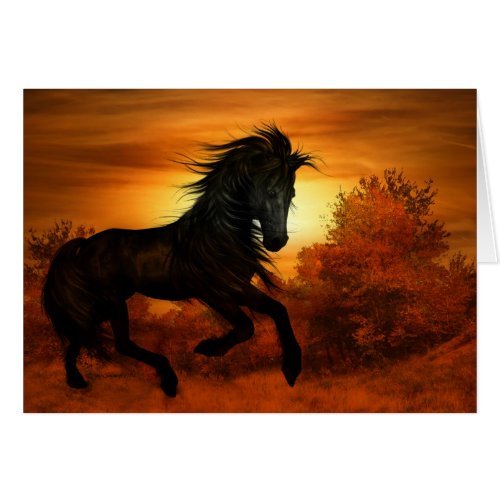 Horse Lover Black Stallion Horse Blank