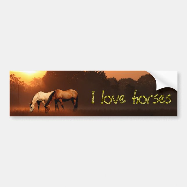 Horse lover bumper sticker (Front)