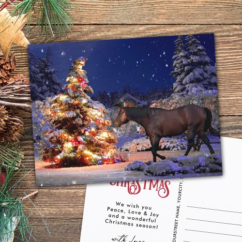 Horse lover Christmas tree Silent night Postcard