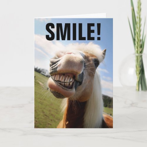HORSE LOVER FUNNY BIRTHDAY GREETING CARDS