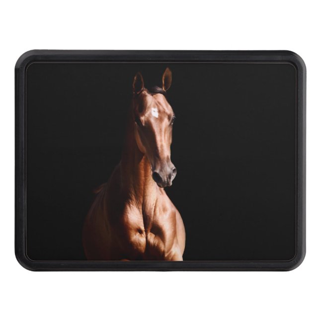 Horse Lover Hitch Cover (Front)