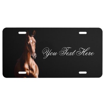 Horse Lover License Plate by PaintingPony at Zazzle