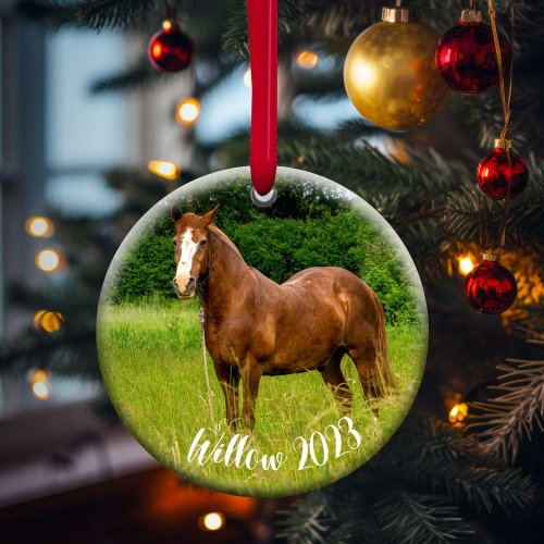 Horse Lover Memorial Ornament Gift