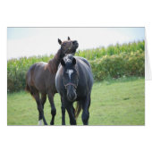 Horse Lovers (Front Horizontal)