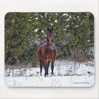 Horse-lover's Beautiful Equine Animal Design Mouse Pad
