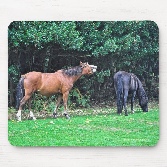 Horse lover's Beautiful Equine Animal Design Mousepad