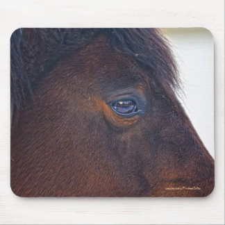 Horse-lover's Beautiful Horse's Eye Animal Design Mouse Pad