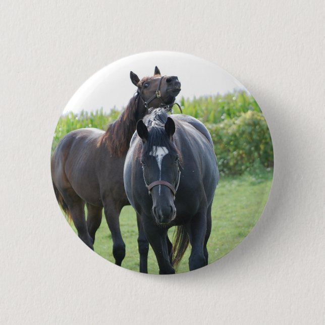 Horse Lovers Button (Front)