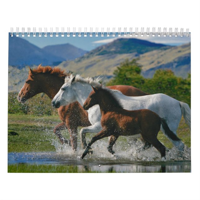 Horse Lover's Calendar (Cover)