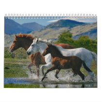 Horse Lover's Calendar