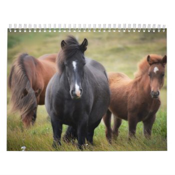 Horse Lovers Calendar by UTeezSF at Zazzle