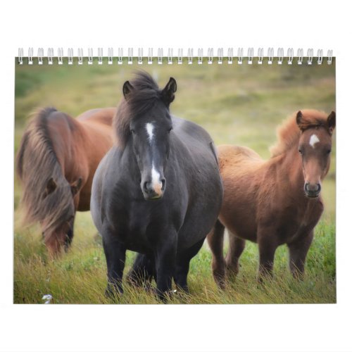 Horse Lovers Calendar