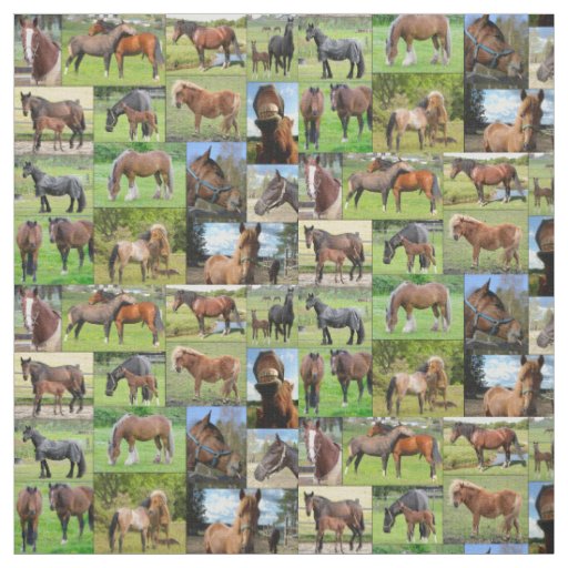Horse Lover's custom fabric