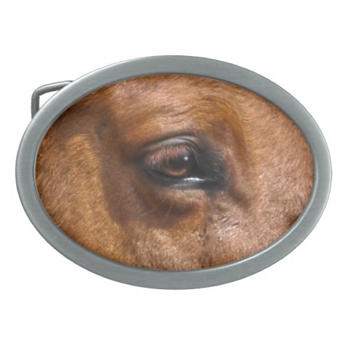 Horse_lovers Dun Horses Eye Animal Design Oval Belt Buckle