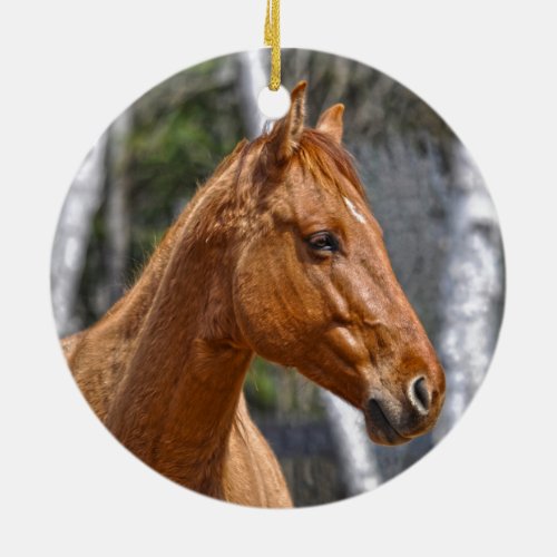 Horse_lovers Equine Animal Design Ceramic Ornament
