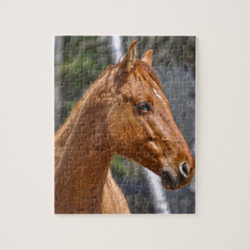 Horse_lovers Equine Animal Design Jigsaw Puzzle
