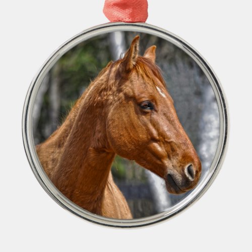 Horse_lovers Equine Animal Design Metal Ornament