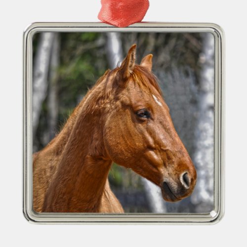 Horse_lovers Equine Animal Design Metal Ornament