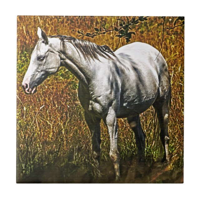 Horse-lover's Equine Animal Design Tile (Front)