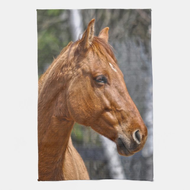Horse-lover's Equine Animal Design Towel (Vertical)
