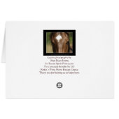 Horse-lover's Equine Animal-lover's Gift (Back Horizontal)