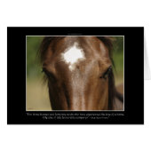 Horse-lover's Equine Animal-lover's Gift (Front Horizontal)