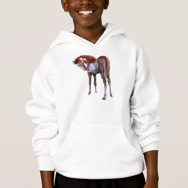 Horse-lover's Equine Animal-lover's Gift Hoodie (Front)