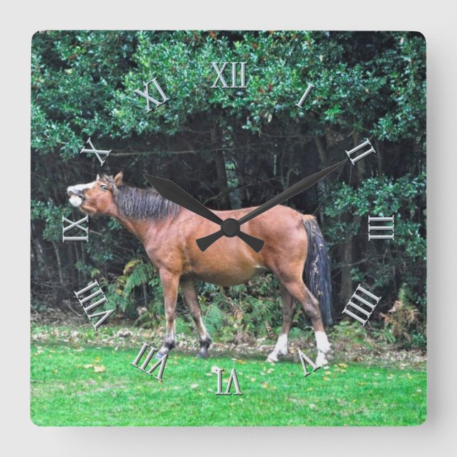 Horse-lover's Equine Animal-lover's Gift Square Wall Clock (Front)