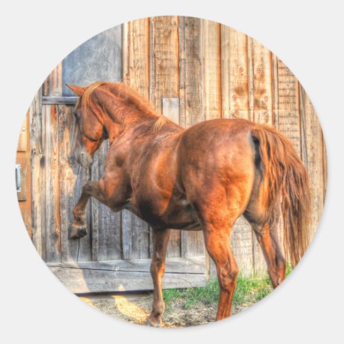 Horse_lovers Equine Photo on a BC Ranch Classic Round Sticker
