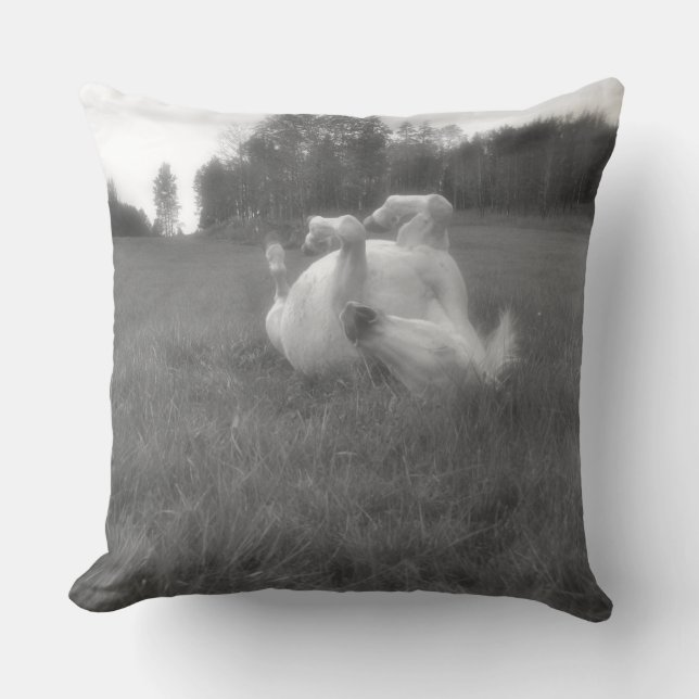 Horse-lover's Equine Photo on a BC Ranch Throw Pillow (Front)