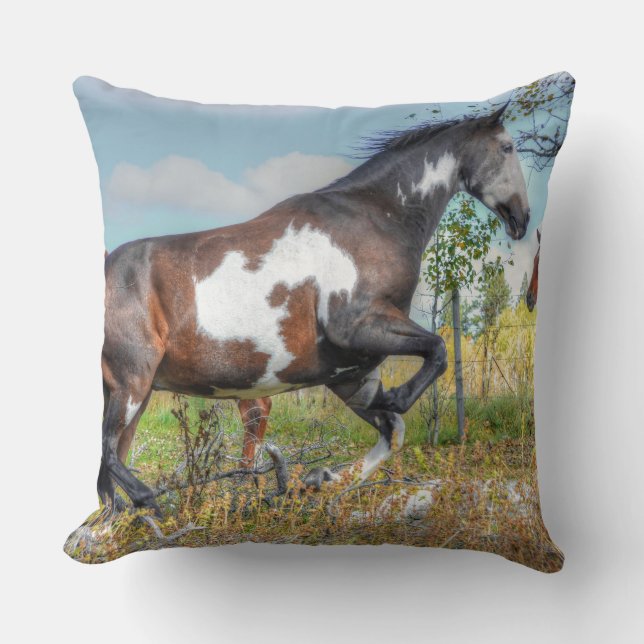 Horse-lover's Equine Photo on a BC Ranch Throw Pillow (Front)