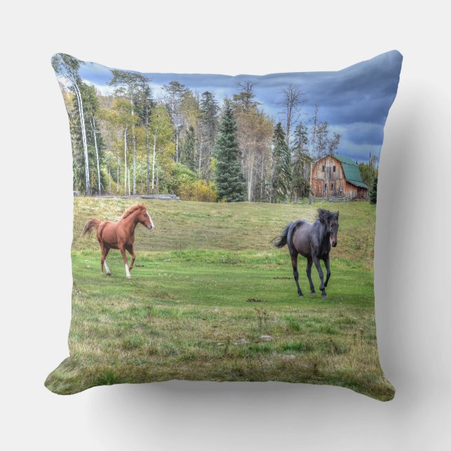 Horse-lover's Equine Photo on a BC Ranch Throw Pillow (Front)