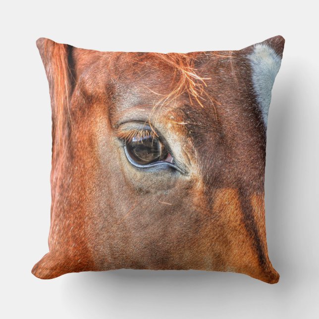 Horse-lover's Equine Photo on a BC Ranch Throw Pillow (Front)