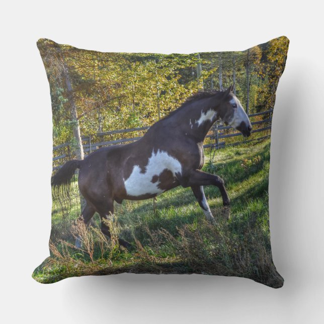 Horse-lover's Equine Photo on a BC Ranch Throw Pillow (Front)