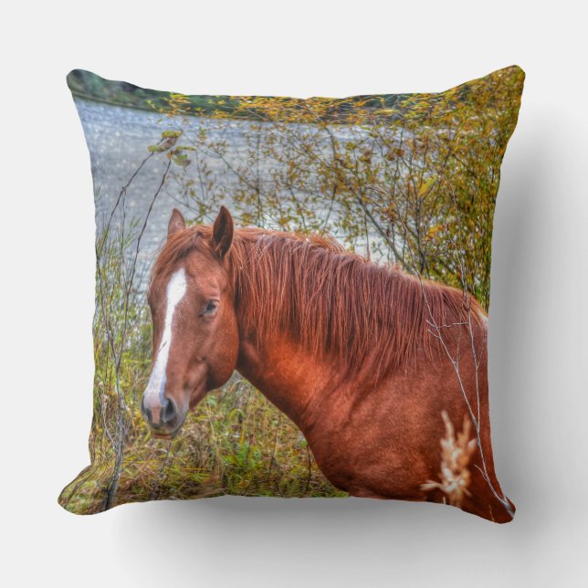 Horse-lover's Equine Photo on a BC Ranch Throw Pillow (Front)