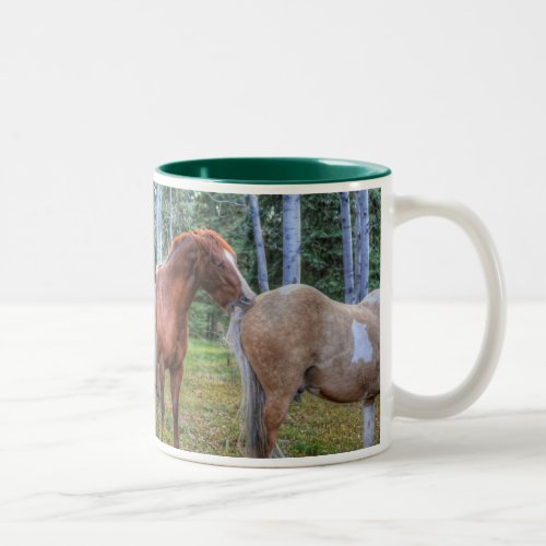 Horse_lovers Equine Photo on a BC Ranch Two_Tone Coffee Mug