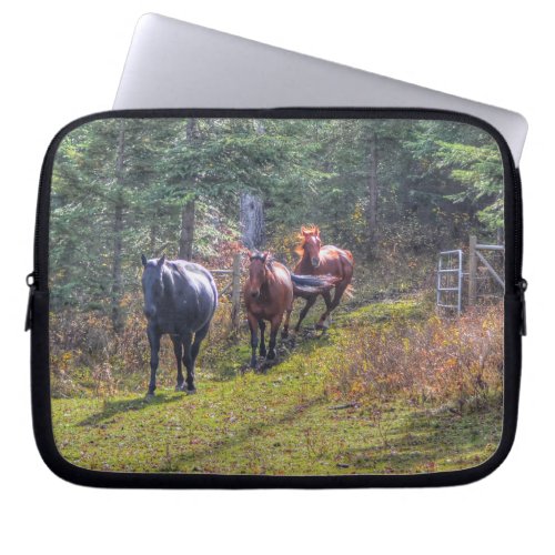 Horse_lovers Equine Ranch Horse Photo Laptop Sleeve