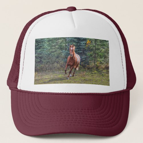 Horse_lovers Equine Ranch Horse Photo Trucker Hat