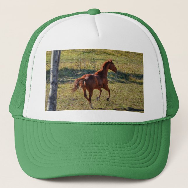 Horse-lovers Equine Ranch Horse Photo Trucker Hat (Front)