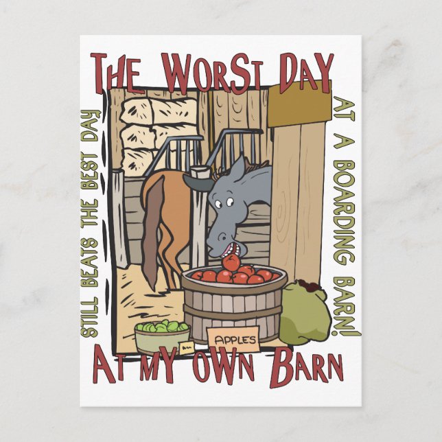 Horse Lovers Gifts Postcard (Front)