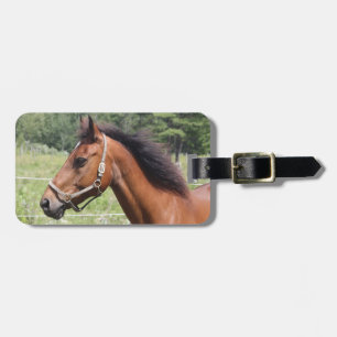 Horse Luggage Tag